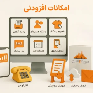 امکانات افزودنی نرم افزارهای حسابداری