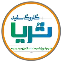 عرقیات گلبرگ سفید ثریا